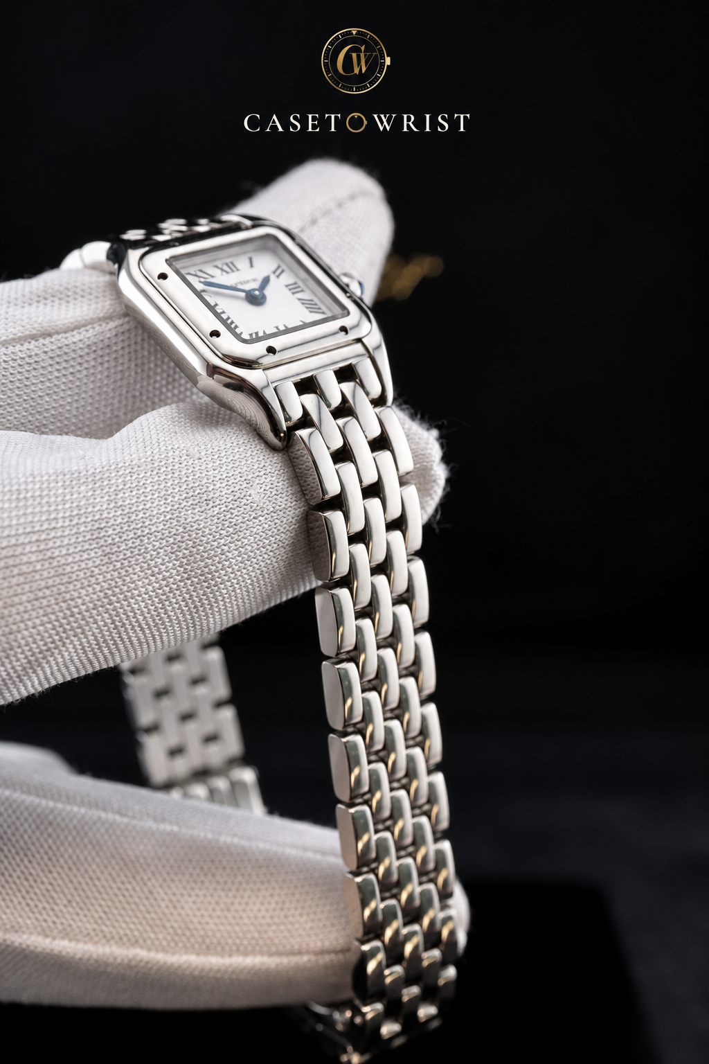 Cartier Panthère de Cartier Mini WSPN0012 – 2026 – Full Set