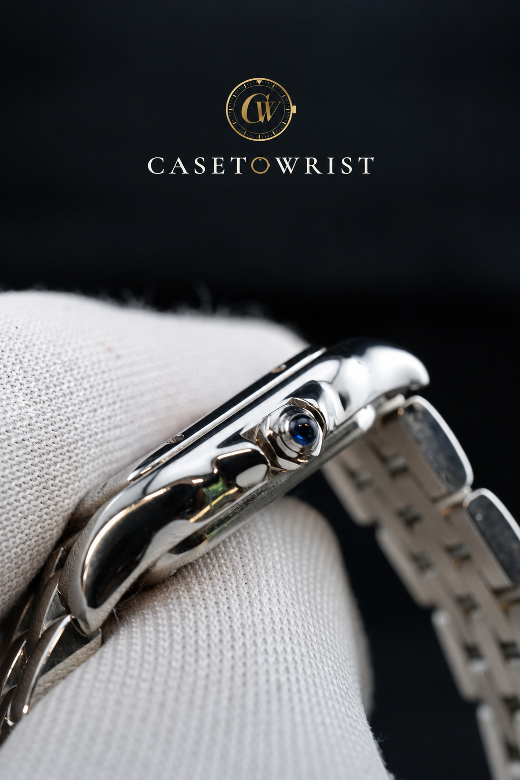 Cartier Panthère de Cartier Mini WSPN0012 – 2026 – Full Set